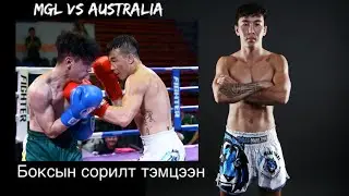 Боксын сорилт тэмцээн. Borkhuu Mega &ldquo;Tiger muaythai&rdquo; Boxing match