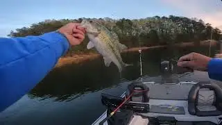 Laurel River Lake Bass Fishing  April 22nd and 23rd. Dragging the ball and chain for big smallmouth!