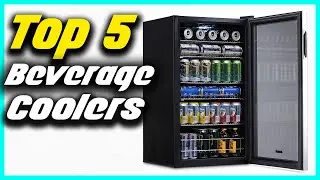 ✅The 5 Best Beverage Coolers in 2022