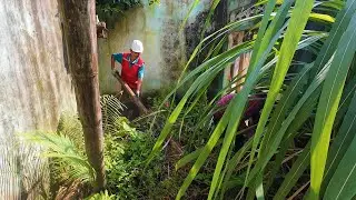 Returning to Grandma's old house after 20 years to renovate &ndash; The result is UNBELIEVABLE