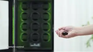 Benson Black Series Pro II 12 Black watch winder
