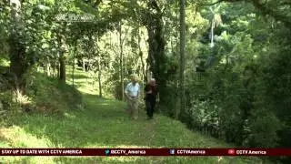 Cuba&rsquo;s wildlife attractions: countering the US travel ban for Americans