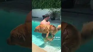 hasan takes kaya swimming #hasanabi #hasan #shorts #shortsfeed #dogshorts #shortsyoutube #short