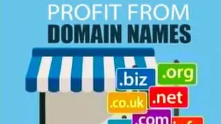 The Evolution of Domain Name Systems and Future Trends