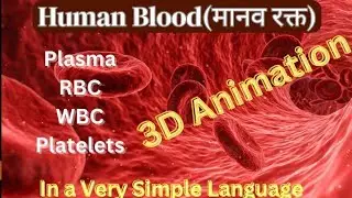 Human blood/Plasma / RBC/WBC/ Platelets/Composition of Blood/ Blood Anatomy and physiology/ Science