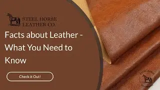 Facts about Leather - What You Need to Know