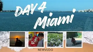 Family Adventure in Miami Everglades Wildlife & Boardwalk Fun #florida #familyvlog #travelvlog