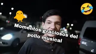 Momentos graciosos del pollo musical 😂 Parte 1