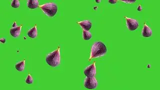 Fig Fruit Falling on Green Screen Background | HD | FREE DOWNLOAD