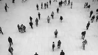 People Commerce Many Background Mall Walking NoCopyrightVideo