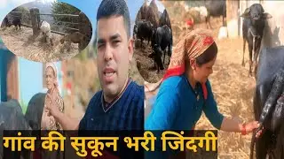 परिश्रम का फल मीठा होता है गांव की खुशहाल भरी जिंदगी☝️#volg #lifestyle @ChefUk01#pahadi #mijaj#love 