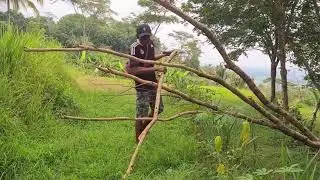 Hardworking Farmer Hoeing Large Farm Area #RuralAgriculture #TraditionalFarming