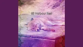Embracing Rest