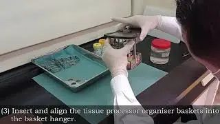 TISSUE PROCESSING