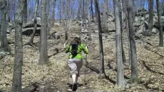 Four Birds Trail - Wildcat Ridge - njHiking.com