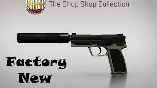 USP-S I Para Green Едва зелёный (factory new)