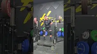 230 kg/ 507 lb Squat 1x2 RPE 8 #shorts