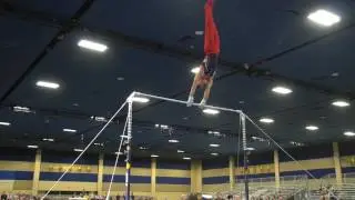 Brandon Briones - High Bar - 2017 Winter Cup Prelims
