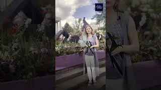 От розы до чертополоха. Символика цветов и растений в искусстве