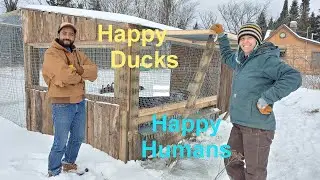 Building a Chicken and Duck Coop with Reclaimed Wood