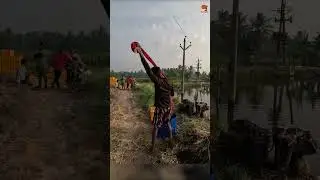 Prawn Catching at the Pond #fishing #fishingvideo #fishingtime