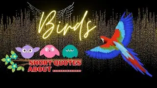Birds Quotes For Birds Lover | Birds Quotes
