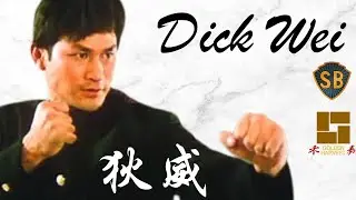 狄威  DICK WEI  💪  A Skilled And Very Tough Villain 🇹🇼 Kung Fu Movie Martial Arts