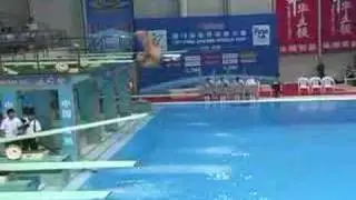 2006 world cup chong he 305b 1m