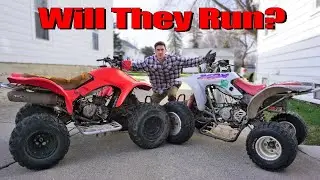 Buying Two Project Honda 250x Quads