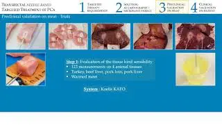 FTI2018 -Transrectal needle-based targeted treatment  of PCa
