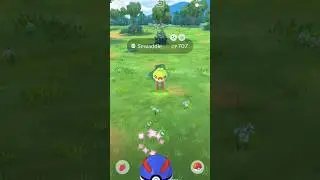 I Caught  Shiny Sewaddle in Pokemon Go by The Game World