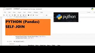 8. Python Joins (Pandas): How to perform self-join in a dataframe