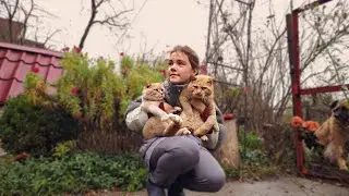 autumn care vlog || garden, halloween, cat's and art ☺️🍂