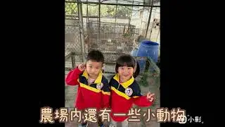 9 綠野鮮無花果農場