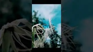 Redmi Note 9 pro съёмка и создание видео (профан дела)