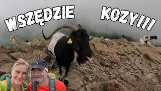 Montseny- Razem z kozami zdobyliśmy szczyt!!! (Subt&iacute;tulos ES + Subtitles ENG)