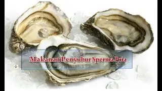 4 Makanan Penyubur Sperma Pria Dewasa - Tips Sehat Alami