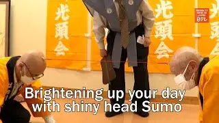 Brightening up your day with shiny head Sumo
