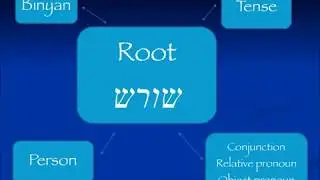 More understanding Hebrew verb structure - Pa'al/kal participles