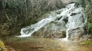 Filmato ANELLO TRA FEDE E NATURA