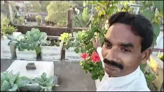 বিনা খরচে জৈব ছাদ বাগানের সফল আইডিয়া || টাকা বাচাঁন || সময় বাচাঁন || প্রকৃতি বাচাঁন | নিজে বাচুঁন 
