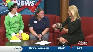 Are you smarter than an elephant? Topeka Zoo sets Holiday Trivia Night