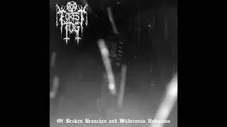 Forest Fog - Of Broken Branches and Wilderness Unknown (Full EP)