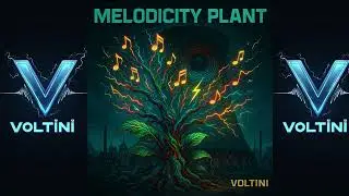 Voltini - Let's Go (Melodicity Plant)