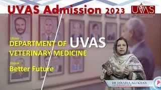 Doctor of Veterinary Medicine, UVAS - Admission ad 2023