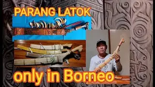 PARANG LATOK SARAWAK. ONLY FOUND IN BORNEO.