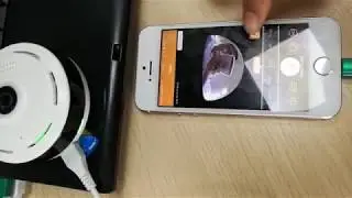How to setup IP Camera with ShowMo demo