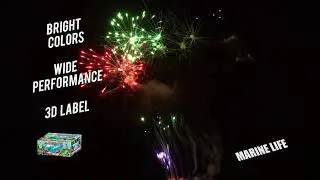 Marine Life 500g Cake - World Class Fireworks