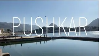 Pushkar Vlog | Food| shopping |Travel guide | WISHSPACE