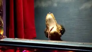Casa Bonita Puppet Show.MOV